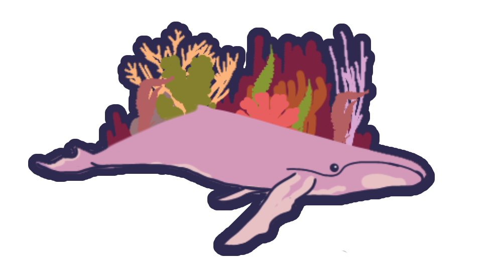 Small Space Whale